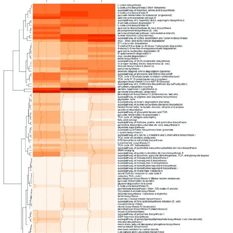 Top 100 functional genes predicted from the bacterial communities in ...