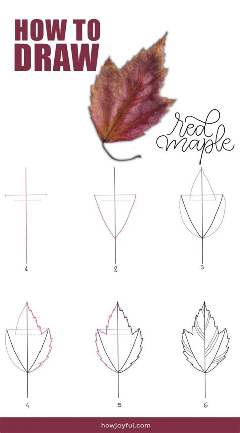 Drawing Leaves How To Draw Step By Step Doodle A Leaf