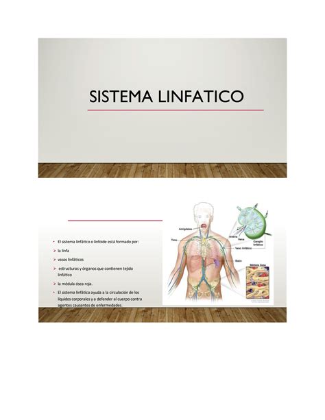 SOLUTION Sistema Linf Tico Studypool