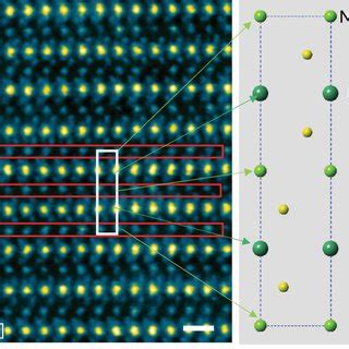 HER Catalytic Activities Of Different TMDs A Polarization Curves For