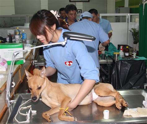 落實寵物業評鑑 強化源頭管理 台灣動物新聞網