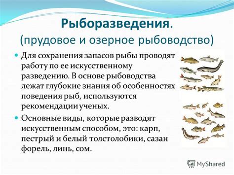 Презентация на тему: "Водные экосистемы 3/4 нашей планеты покрыты водой ...
