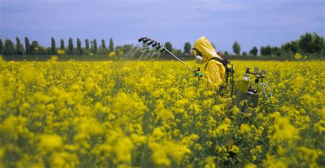 Comment Le D Clin Des Abeilles Met En P Ril Les Cultures Agricoles