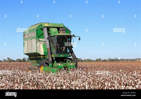 Cotton Picking Machine Name Ramonita Prosser