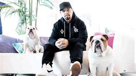 Ice T Album Covers Coco