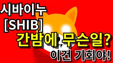 시바이누 코인 간밤에 무슨일 이건 기회입니다 가즈아~ 시바이누전망 도지코인 비트코인 이더리움 코인전망