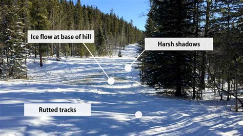 Reality Check: Downhill Survival Skills - Nordic Ski Lab