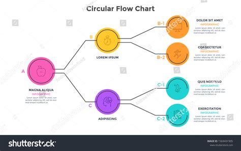 Tree Diagram Flowchart Connected Colorful Round เวกเตอรสตอก ปลอดคา