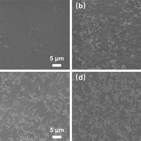 Sem Micrographs Of The Cryo Fractured Surfaces Of A Neat Pbst B