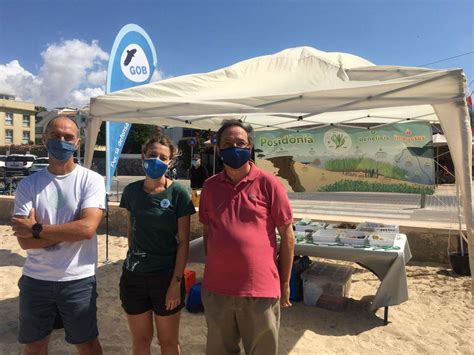 Cinco municipios de Mallorca participan en la campaña SOS Posidonia