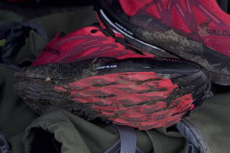 Salomon Pulsar Trail Review: Trail Speed on a Budget - Believe in the Run