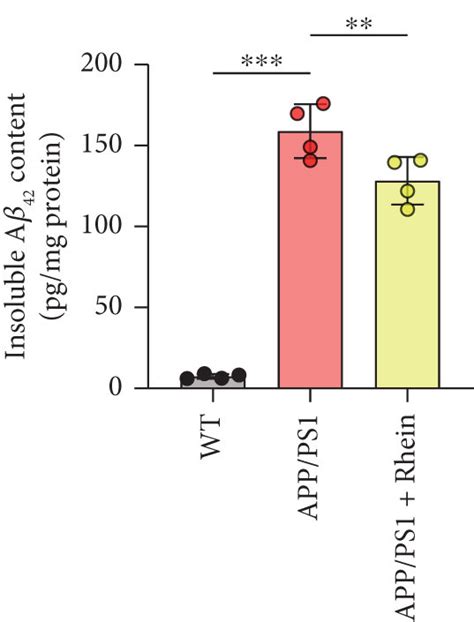 Rhein reduced Aβ burden and neuroinflammation in APP PS1 mice a