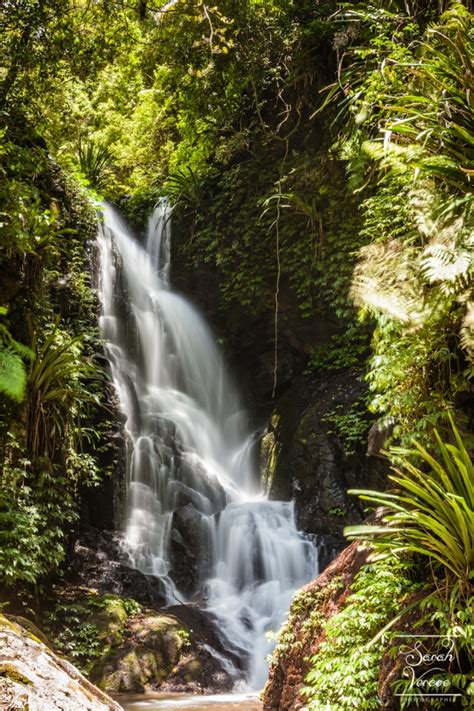 Lamington National Park – Photo Tips + Travel Inspiration