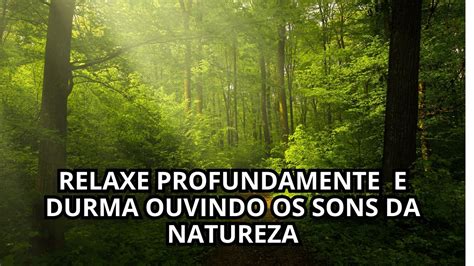 Sons Da Natureza Acalmar Relaxar Dormir Musicalm Musicarelaxante