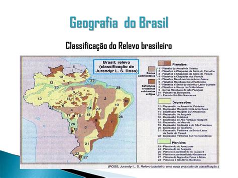 Clima Vegetação E Relevo