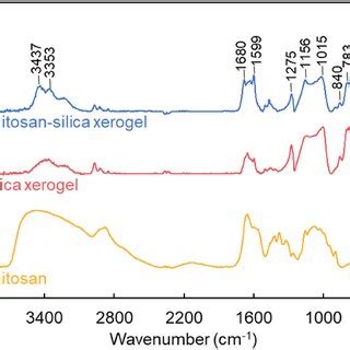 Water Contact Angles On A Silica Xerogel B Chitosansilica