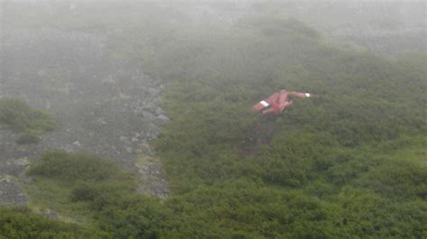 Pilot: Waving hand from Alaska plane crash wreckage first sign that there were survivors | Fox News