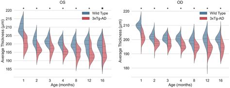 Frontiers Normative Mice Retinal Thickness 16 Month Longitudinal Characterization Of Wild