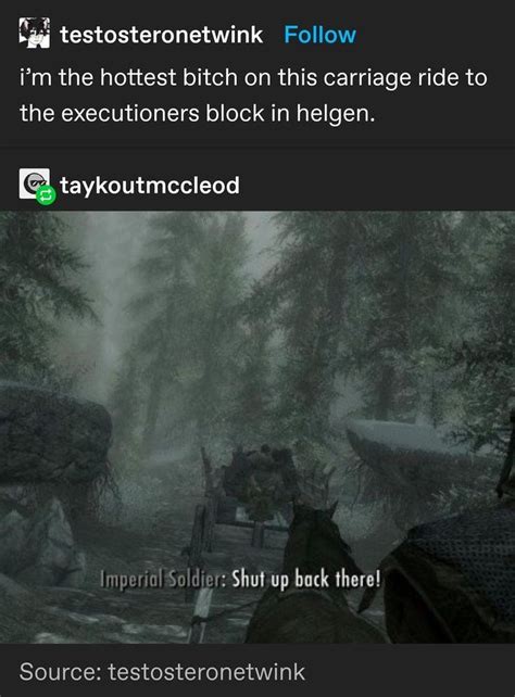 Pin By Caty Turner On Elder Scrolls In 2023 Skyrim Memes Elder