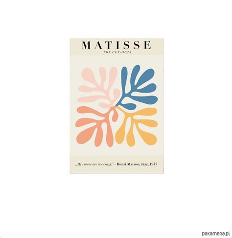 Plakat Abstrakcja Matisse Ilustracja Grafika Pakamera Pl