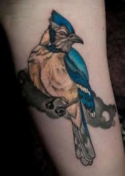 Blue Jay Tattoo Meanings And Designs Tatring