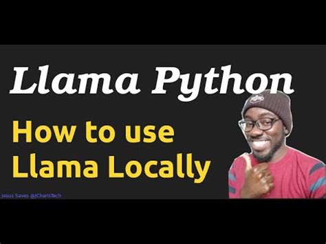 How To Use Llama Llm In Python Locally Youtube