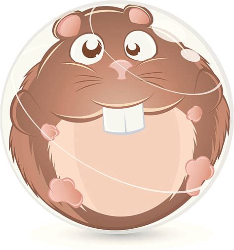 Hamster Ball Vectoriels Et Illustrations Libres De Droits Istock