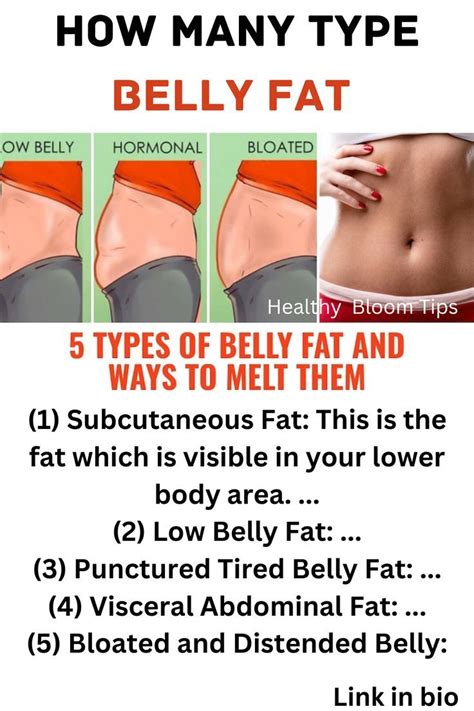 Pin on bellyfat