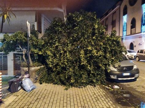 La Tempesta Di Santa Lucia Fa Danni Soprattutto Ai Pendolari Trc