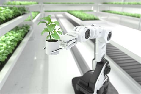 What Role Will Vertical Farming Play In The Future Of Agriculture