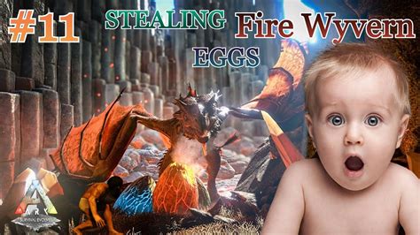 I Steal Fire Wyvern Eggs In Ark Survival Fjordur Episode Youtube