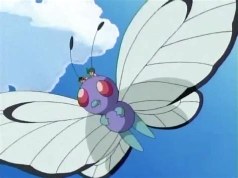 Xanders Butterfree Pokémon Wiki Fandom Powered By Wikia