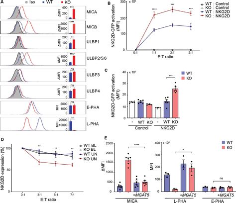 Frontiers Cytoplasmic Citrate Flux Modulates The Immune Stimulatory