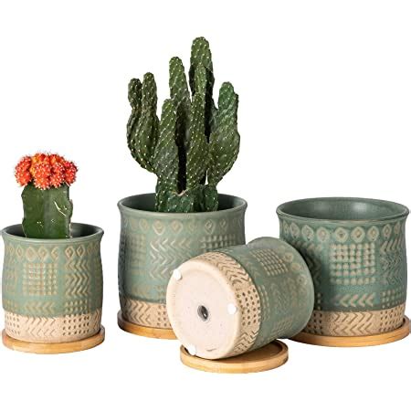 Amazon Jusalpha Ceramic Large Succulent Cactus Plant Pot With