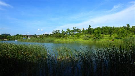 湖南长沙洋湖湿地公园 湿地与滨水景观 首家园林设计上市公司