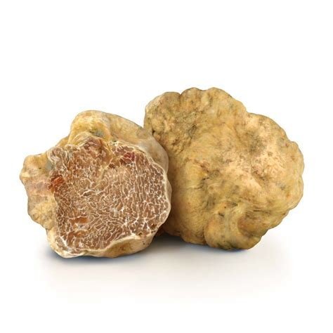 Tartufo Bianco Fresco Tuber Magnatum Pico