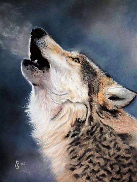 Bild Wolf W Lfe Tiere Tierportrait Von Erhard S Nder Bei Kunstnet