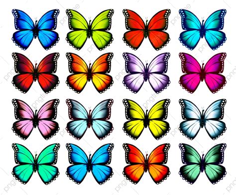 Colorful Butterflies Illustration Collection Png Pngwing The Best