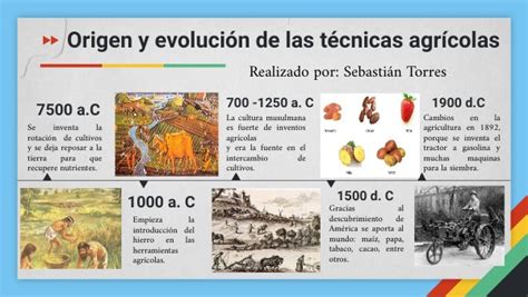 Origen y evolución de las técnicas agrícolas