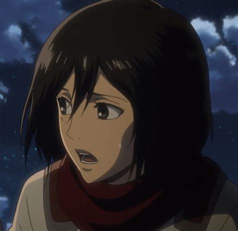 Aot Aesthetic Pfp Mikasa