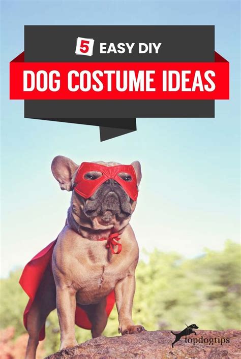 Easy DIY Dog Costume Ideas