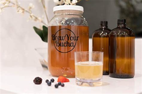 Brew Your Bucha Kombucha Scoby With Starter Fluid Kombucha Starter