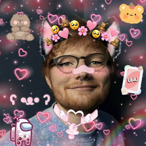 Ed Sheeran Kawaii 😤 Ed Sheeran Ed Sheeran Memes Funny Profile Pictures