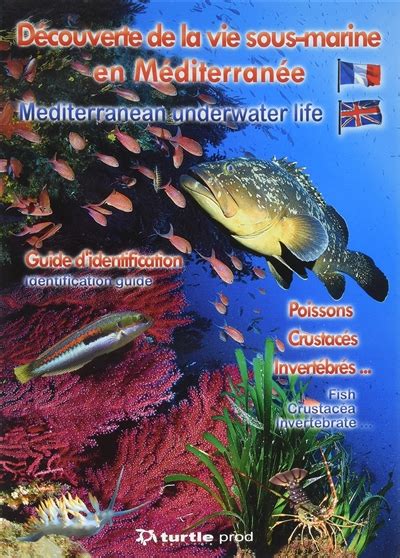 Découverte de la vie sous marine en méditerranée guide d