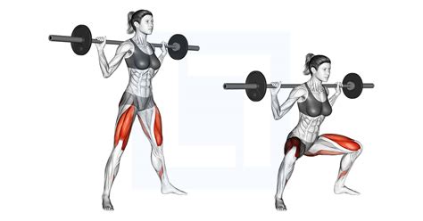 Barbell Wide Squat - Guide, Benefits, and Form