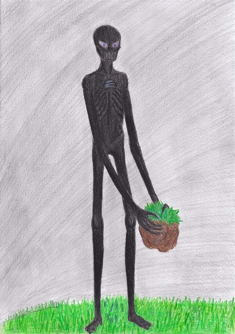 Enderman in real life by BirdmanArtist on DeviantArt