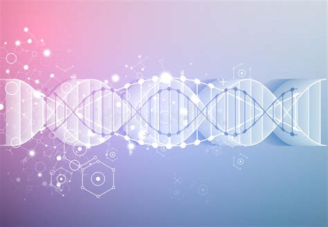 Wetenschapsmalplaatje Behang Of Banner Met Een D Dna Molecules Vector