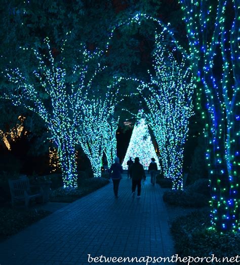 Atlanta Botanical Gardens, Christmas Garden Lights, Holiday Nights