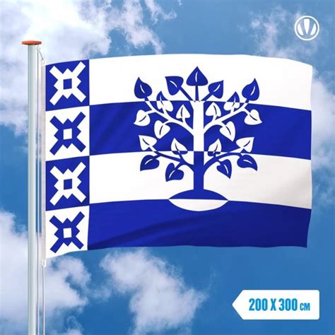 Vlag Haaren X Cm Bol