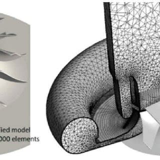 Representative Computational Mesh For Simplified Left And Detailed